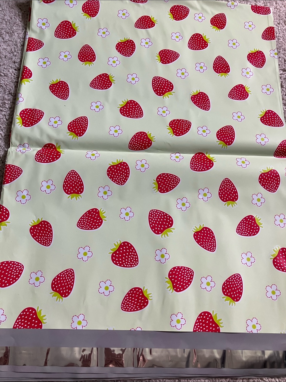 Strawberry Polymailers 14.5 x 19 Pack of 10 NWT - Picture 2 of 4